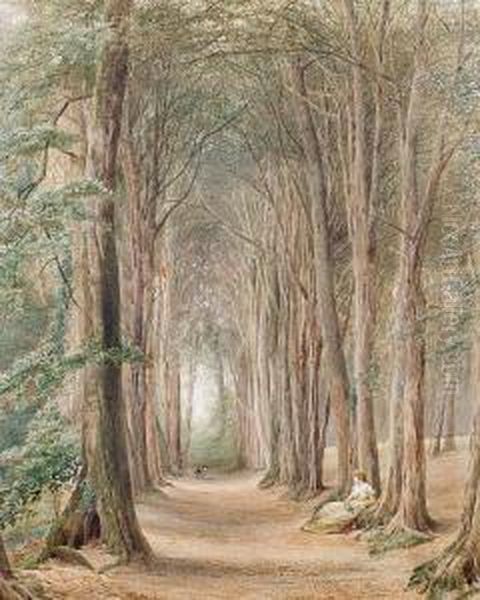 A Lady Reading In The Woods Oil Painting by Ebenezer Wake Cook