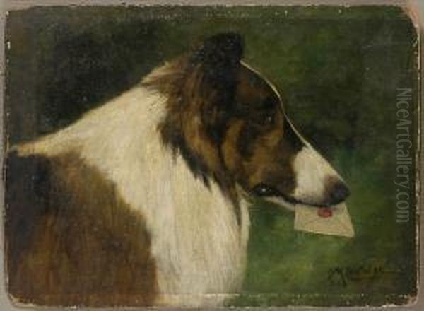 Collie Oil Painting by Cassius Marcellus Coolidge