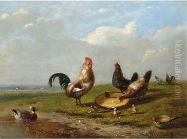 Sheep And Chickens In A Landscape Oil Painting by Auguste Coomans