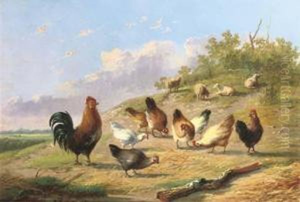 Poultry On A Hillside Oil Painting by Auguste Coomans