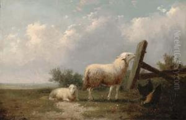 Sheep And Chickens In A Field Oil Painting by Auguste Coomans