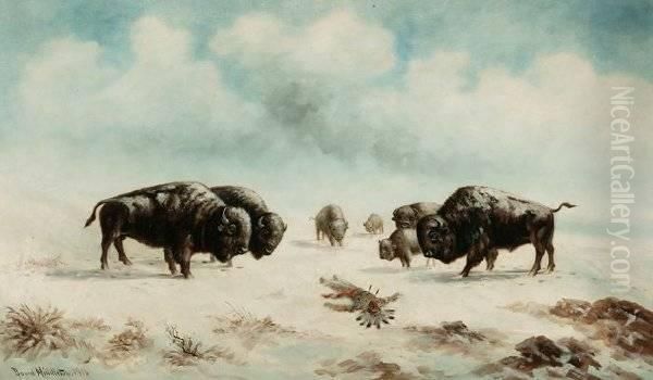 Buffalo And Indian On Snowy Range Oil Painting by Astley David Middleton Cooper