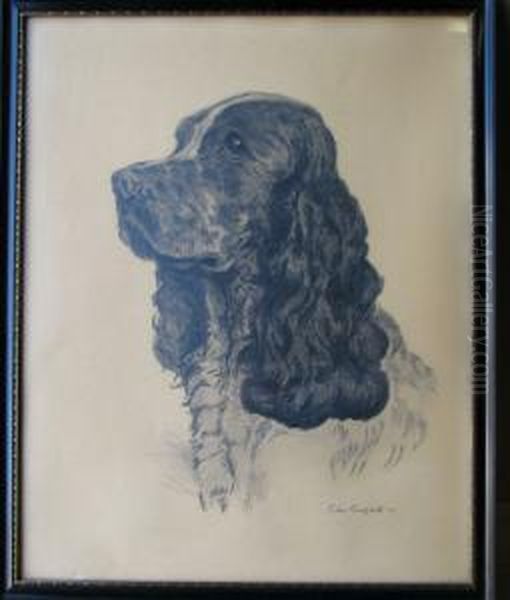 Pencil Sketch Shoulder Length Portrait Of A Dog Oil Painting by Colin Campbell Cooper