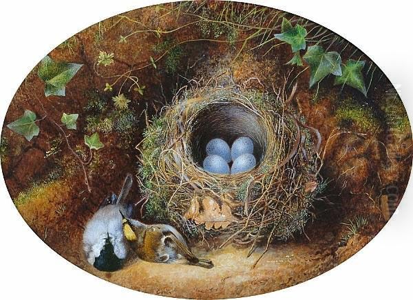 Still Life Of A Birds Nest Oil Painting by Emma Lambert Cooper