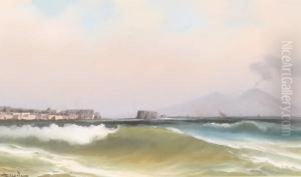 Vesuvius And Italian Coast Oil Painting by Antonio Coppola