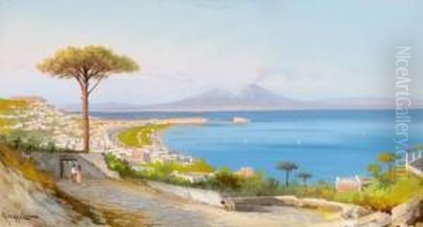 View Over The Bay Of Naples And Vesuv Oil Painting by Antonio Coppola