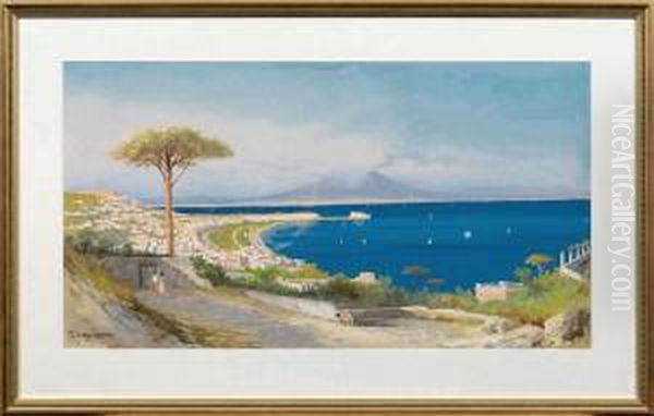 Panorama-ansicht Desgolfs Von Neapel Mit Dem Vesuv Oil Painting by Antonio Coppola