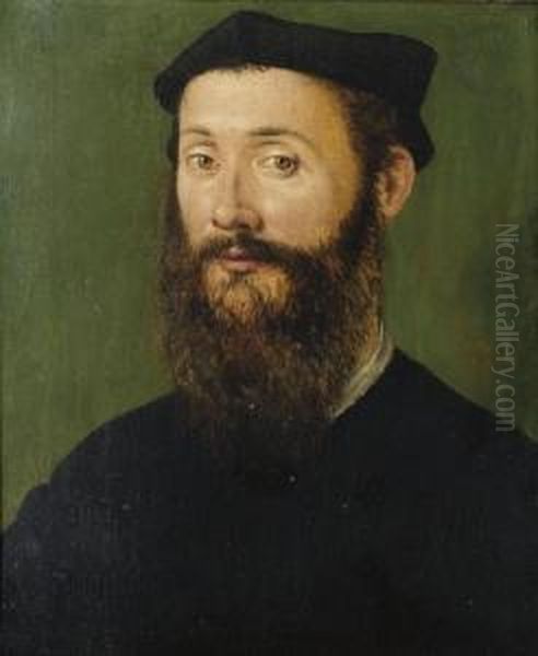 Portrait D'homme En Buste Oil Painting by Corneille De Lyon