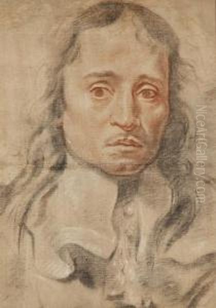 Portrait D'homme Oil Painting by Guglielmo Cortese Il Borgognone