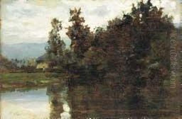 Dintorni Di Verolengo Oil Painting by Demetrio Cosola