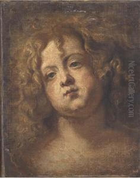 The Head Of A Youth Oil Painting by Jan Cossiers