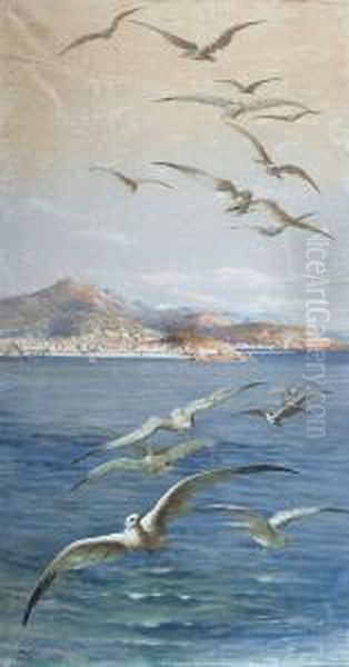 Nice, La Baie Des Anges Oil Painting by Emmanuel Costa