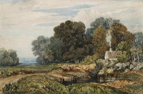 Cottage By A Pool In A Woooded Landscape Oil Painting by John Joseph Cotman