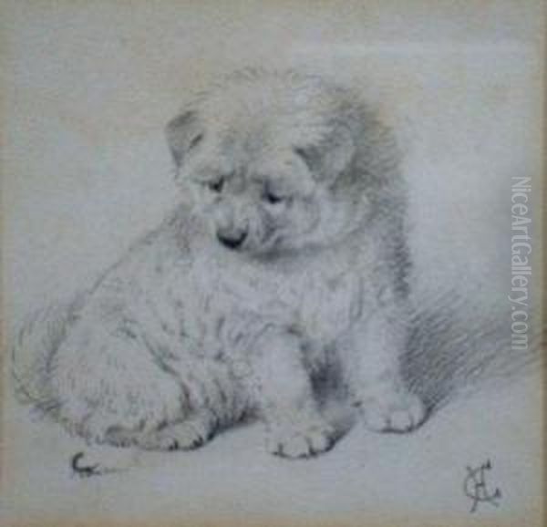 'curiosity'. A Seated Puppy Watching A Passing Insect. Oil Painting by Horatio Henry Couldery