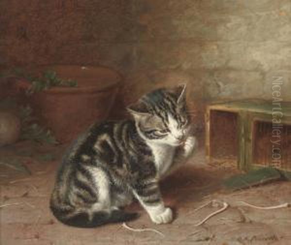 The Naughty Kitten Oil Painting by Horatio Henry Couldery