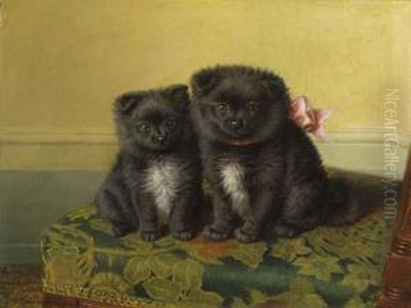 Two Chow Pups Seated On A Chair In An Interior Oil Painting by Horatio Henry Couldery