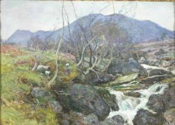 Sheep Grazing By A Highland River Oil Painting by Robert Mcgown Coventry