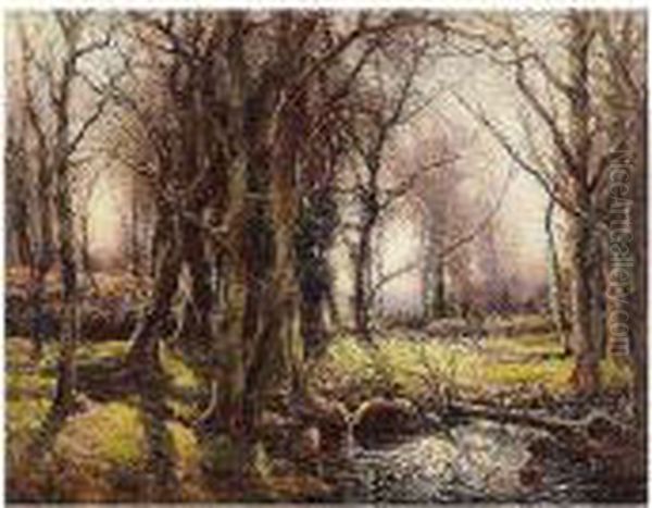 A West Country Woodland Oil Painting by Garstin Cox