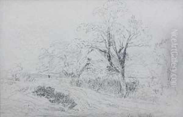 Gillow Heath Oil Painting by David Cox Snr.