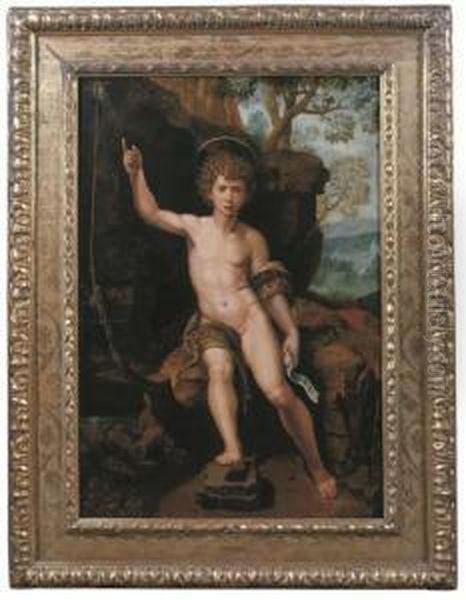 The Youthful Saint John The Baptist Oil Painting by Michiel Van Coxcie