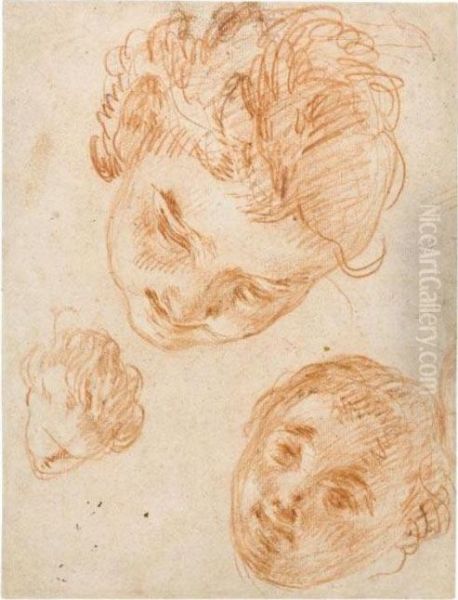 Studies Of Three Heads Oil Painting by Noel Nicolas Coypel