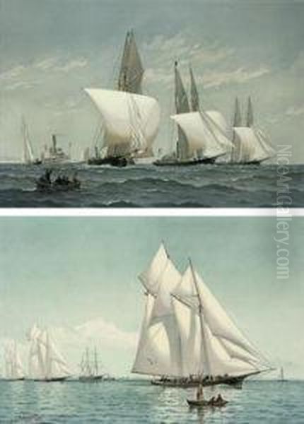 'american Yachts, Their Clubs And Races' Oil Painting by Frederick Schiller Cozzens