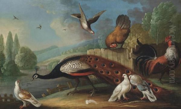 A Peacock, Pigeons And Chickens In A Wooded River Landscape Oil Painting by Marmaduke Cradock