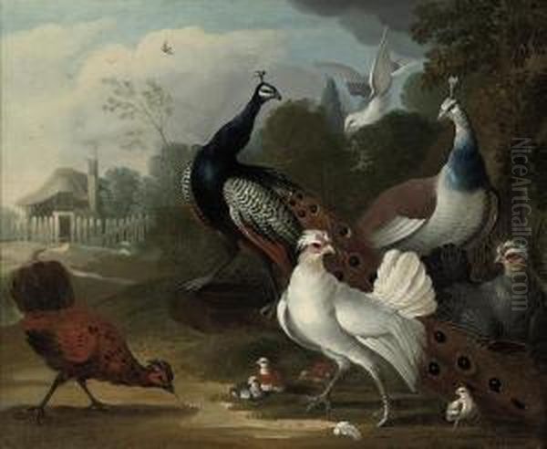 A Peacock, A Hen, Fowl And Other Birds In A Landscape Oil Painting by Marmaduke Cradock