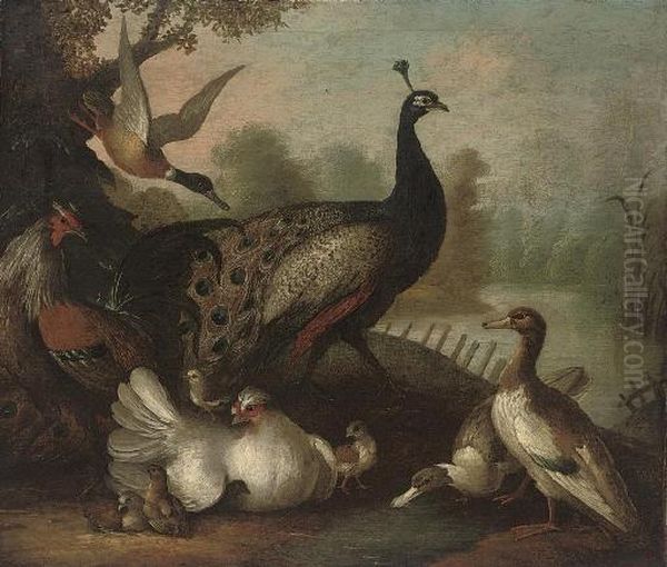 A Peacock, Ducks, Fowl And Other Birds In A Wooded River Landscape Oil Painting by Marmaduke Cradock