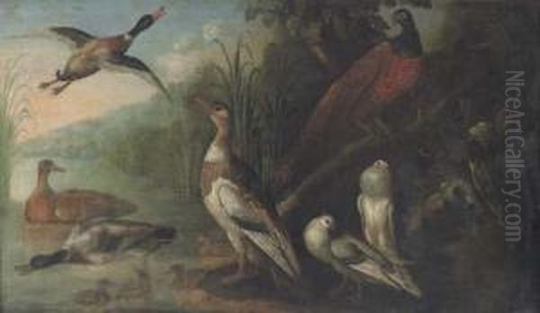 A Pheasant, Pigeons, Ducks And Ducklings In A River Landscape Oil Painting by Marmaduke Cradock