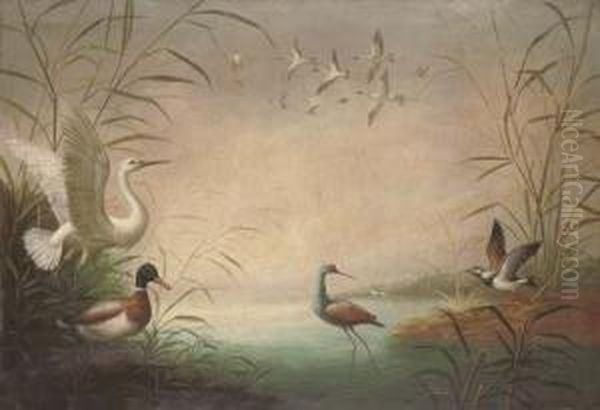 Waterfowl On The Banks Of A Lake Oil Painting by Marmaduke Cradock