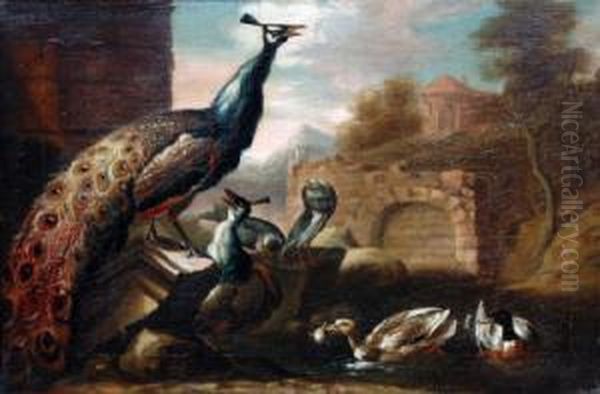 A Peacock And Other Birds In An Italianate Ruin. Oil Painting by Marmaduke Cradock