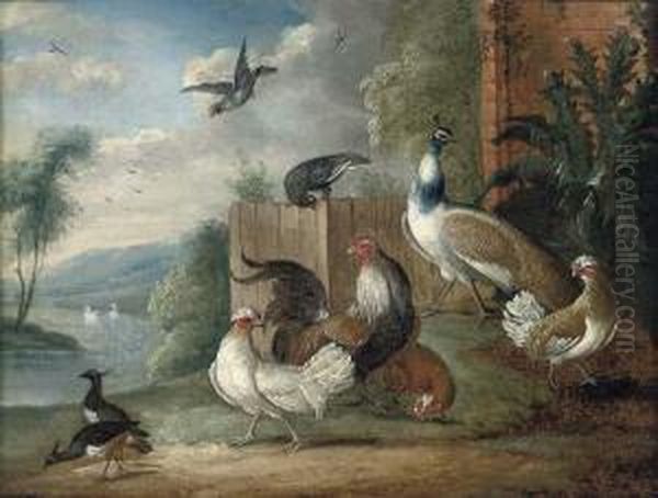 A Peacock, A Cockeral, Hens And Pigeons In A Wooded Clearing Oil Painting by Marmaduke Cradock