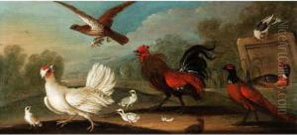 Fowl And Other Birds Oil Painting by Marmaduke Cradock