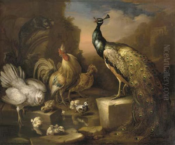 A Peacock Oil Painting by Marmaduke Cradock