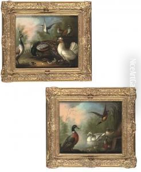 Peacocks, Poultry And Doves In A Wooded Landscape Oil Painting by Marmaduke Cradock