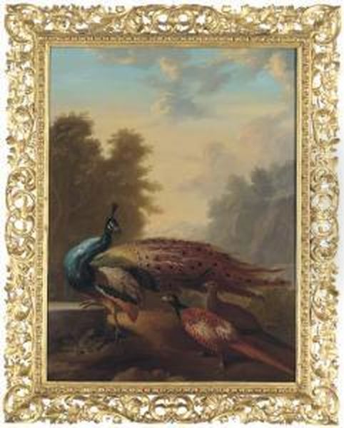 A Peacock And Pheasants In A Rocky Wooded Landscape Oil Painting by Marmaduke Cradock