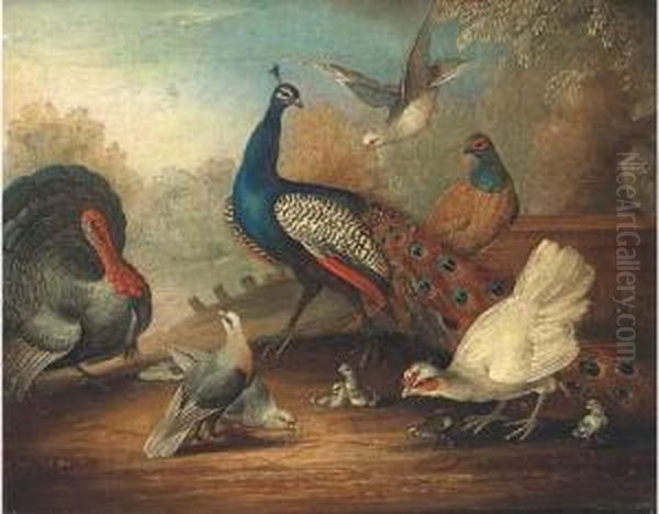 A Peacock, Doves And Pheasant By A Lake by Marmaduke Cradock