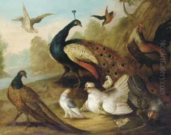 A Peacock, Pheasant, Hen, A Dove And Other Fowl In A Riverlandscape Oil Painting by Marmaduke Cradock