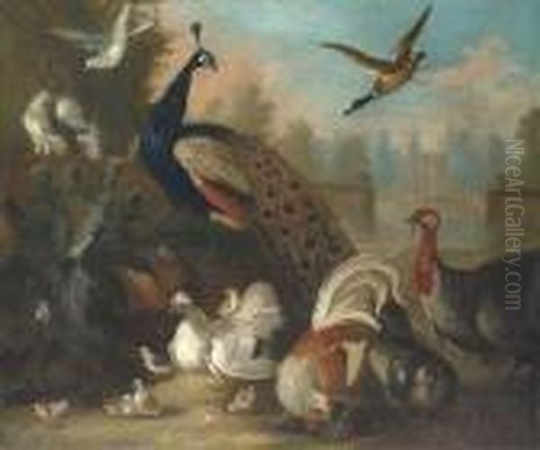 A Peacock And Other Birds In An Ornamental Landscape Oil Painting by Marmaduke Cradock