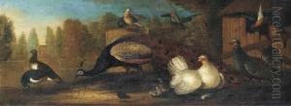 A Peacock, Pidgeons, Chickens And Other Birds In A Landscaped Garden Oil Painting by Marmaduke Cradock