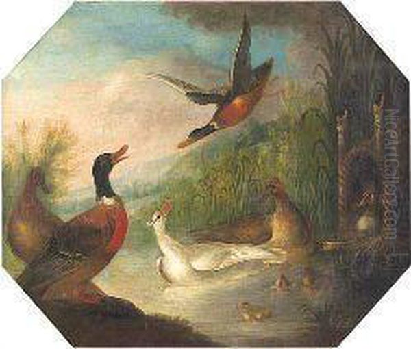 Assorted Waterfowl On A Lake Oil Painting by Marmaduke Cradock