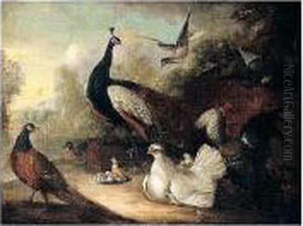 An Assembly Of Birds Oil Painting by Marmaduke Cradock