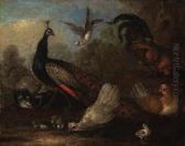 A Peacock, A Peahen, Chickens And A Dove In A Landscape Oil Painting by Marmaduke Cradock