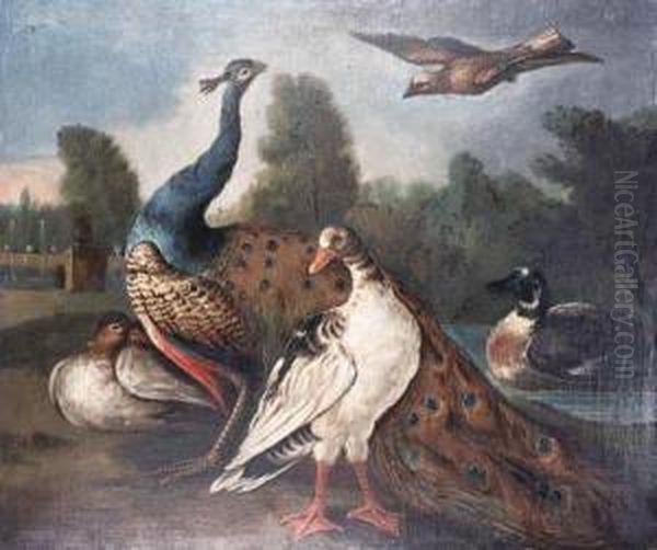 A Peacock, Duck, And A Jay In An Ornamental Garden Oil Painting by Marmaduke Cradock