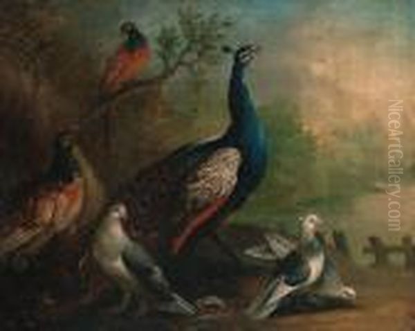 A Peacock, Doves And Pheasants By A Lake Oil Painting by Marmaduke Cradock