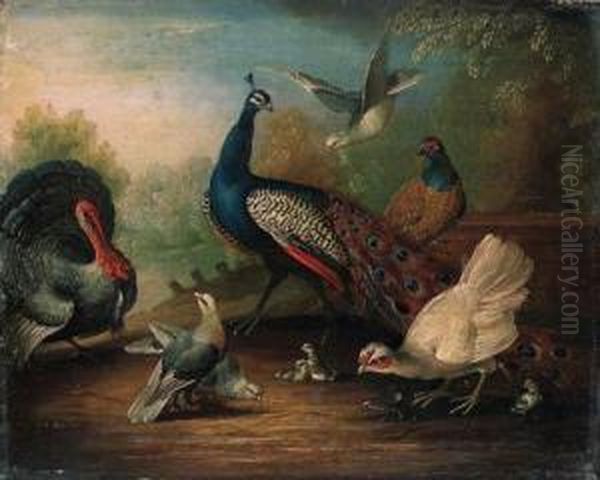 A Peacock, A Turkey, A Hen, Doves, Chicks And A Pheasant By Alake Oil Painting by Marmaduke Cradock