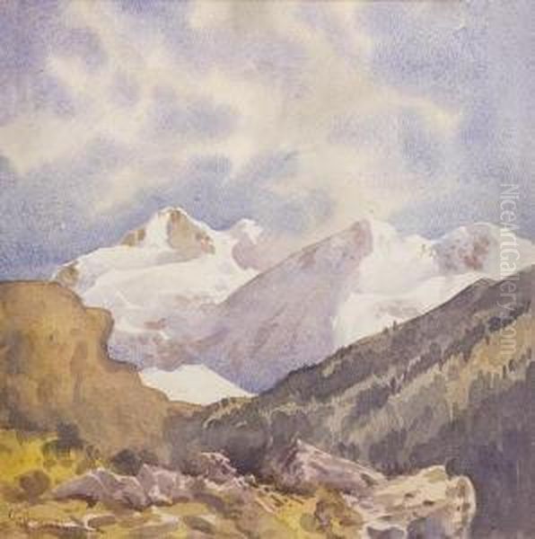 Montagne Innevate Oil Painting by Aurelio Craffonara