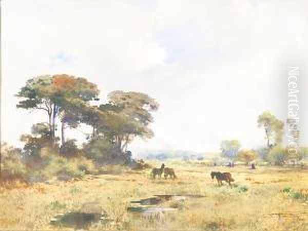 Paesaggio Con Cavalli In Liberta Oil Painting by Aurelio Craffonara