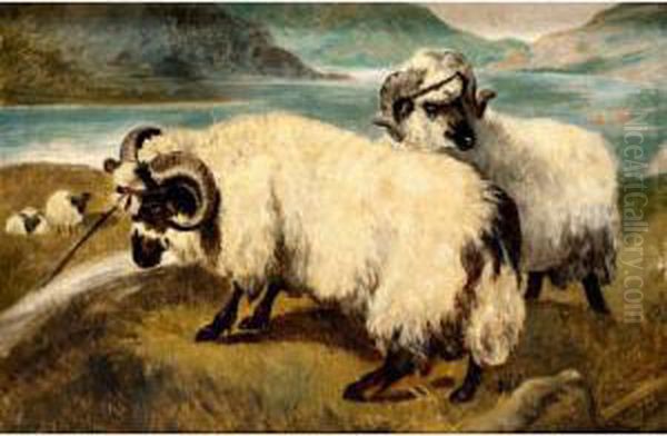 Highland Sheep By A Loch Oil Painting by Joseph Ii Crawhall